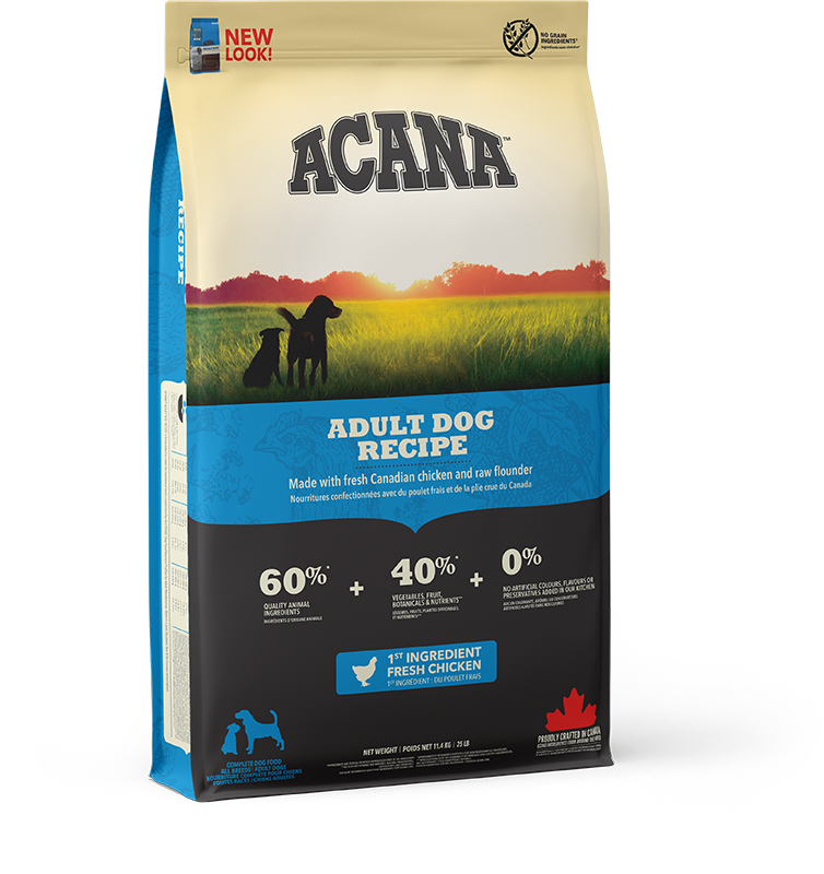 Adult Dog